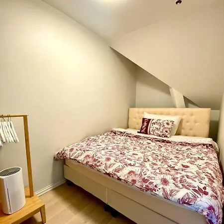 Apartamento Cozy In Center